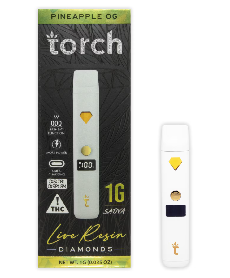 Photograph of product: Cactus Cooler Disposable LR Torch