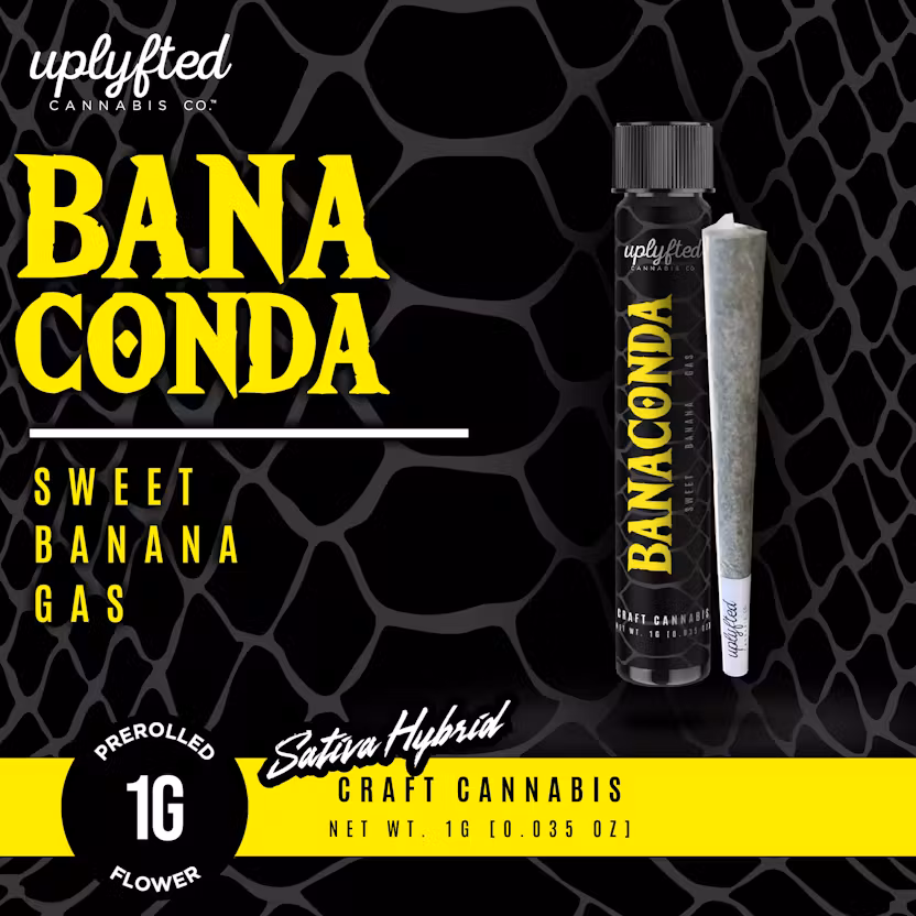 Photograph of product: Uplyfted - Preroll - (1g) - Oui'd Hybrid **BANANACONDA** (3/$25)