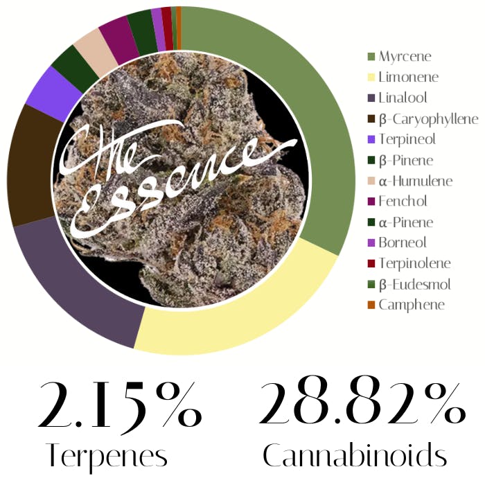 Photograph of product: White Runtz by The Essence | Pre-Rolls | 1.0g