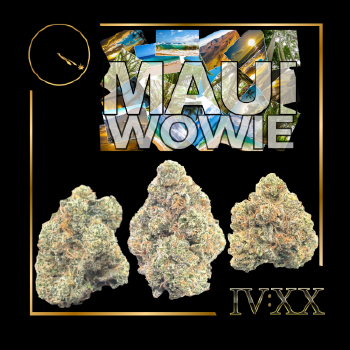 Photograph of product: Maui Wowie - Buds 3.5g