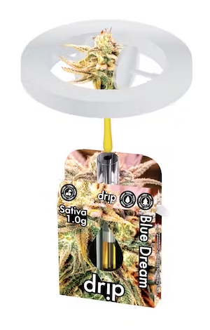 Photograph of product: Drip - 1g Cart - Blue Dream Oui'd