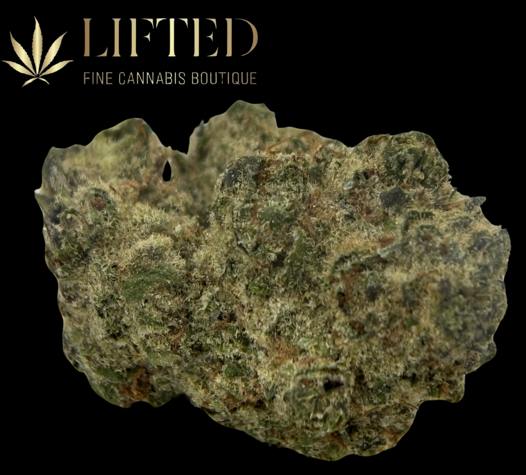 Photograph of product: GELATO 41 - 1g