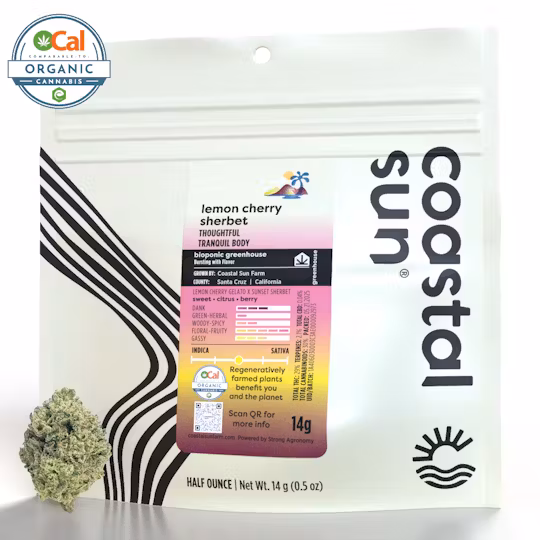 Photograph of product: Coastal Sun | Lemon Cherry Sherbet - 14g