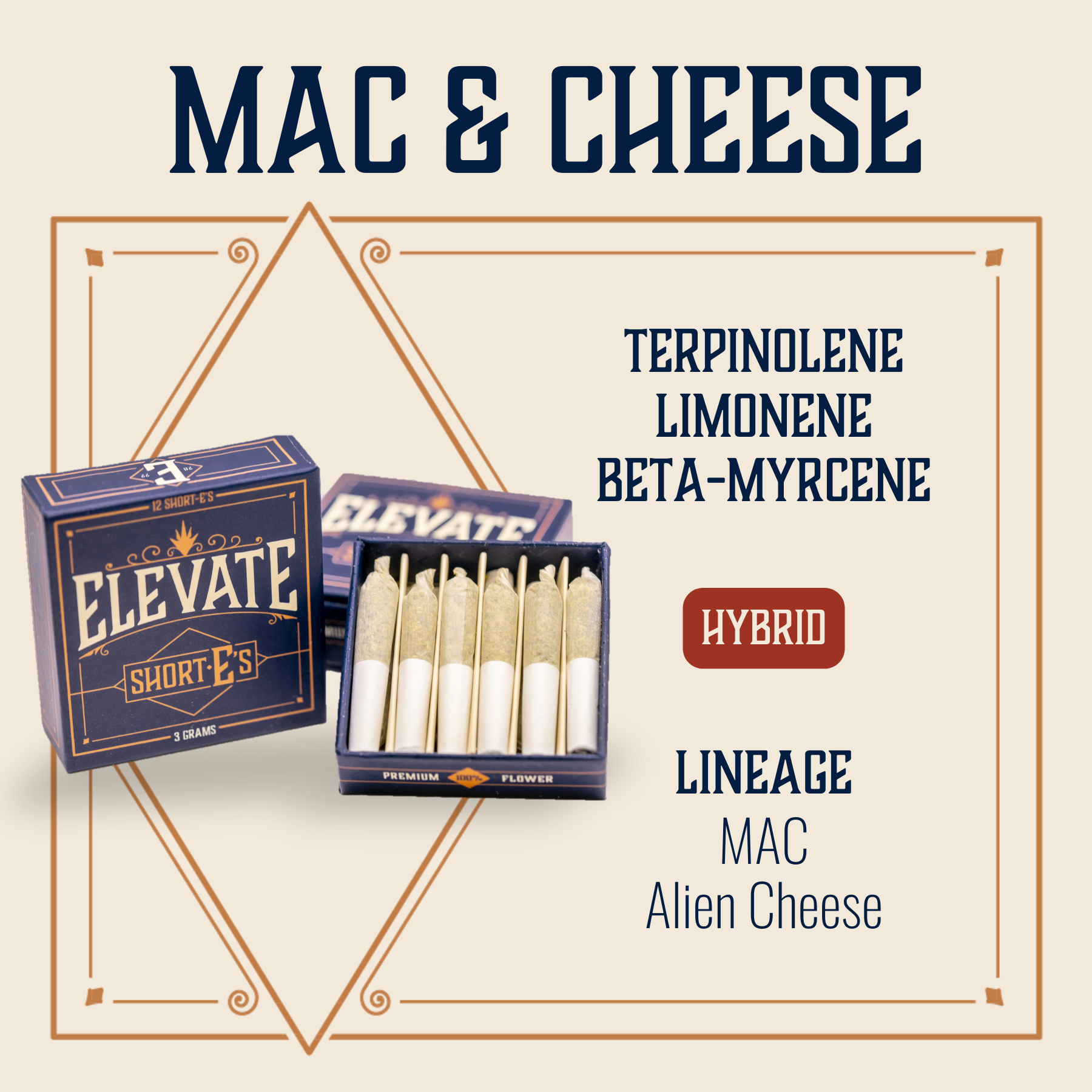 Photograph of product: Mac & Cheese | 10pk
