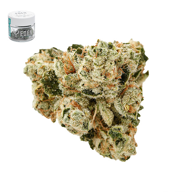 Photograph of product: KING LOUIS XIII OG