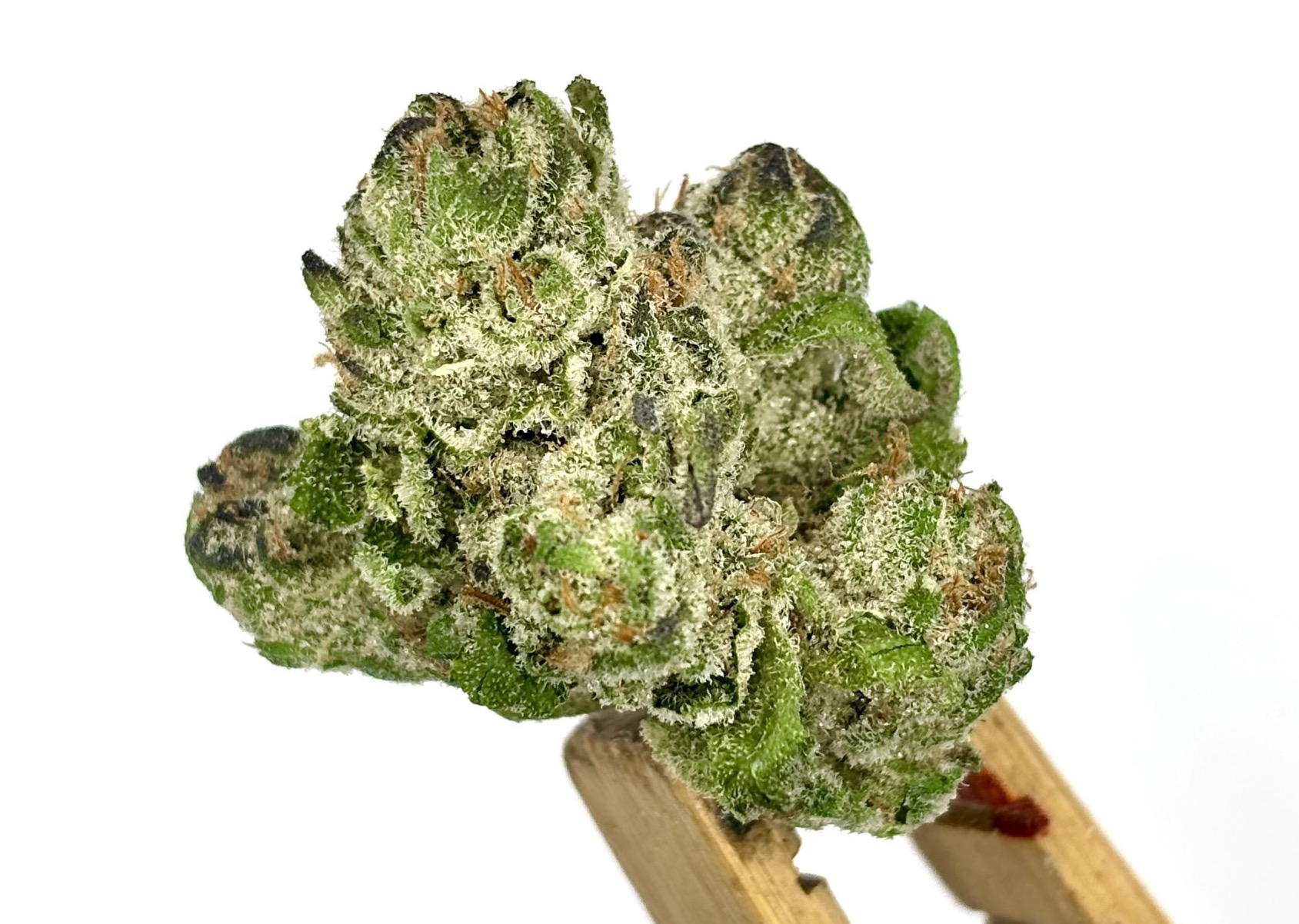 Photograph of product: DogHouse | Crash Glow | Bulk Flower | Purple Tier - 28g