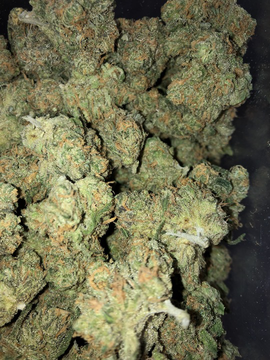Photograph of product: Blue Dream (Cheeze Factory)