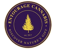 Photograph of product: ENTOURAGE | LIVE RESIN | ALL-IN-ONE DEVICE | HAVANA NIGHTS