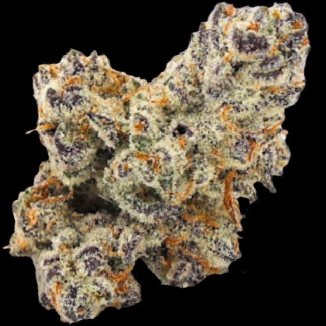 Photograph of product: Devil Driver 14g - 