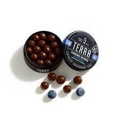 Photograph of product: Terra Bites - Milk Chocolate Blueberries (100mg)