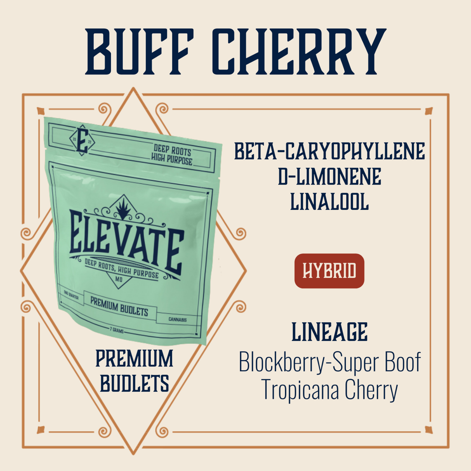 Photograph of Product: Buff Cherry | Budlets - 7g