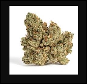 Photograph of product: iion | 3.5g Bud | White Meat (H)