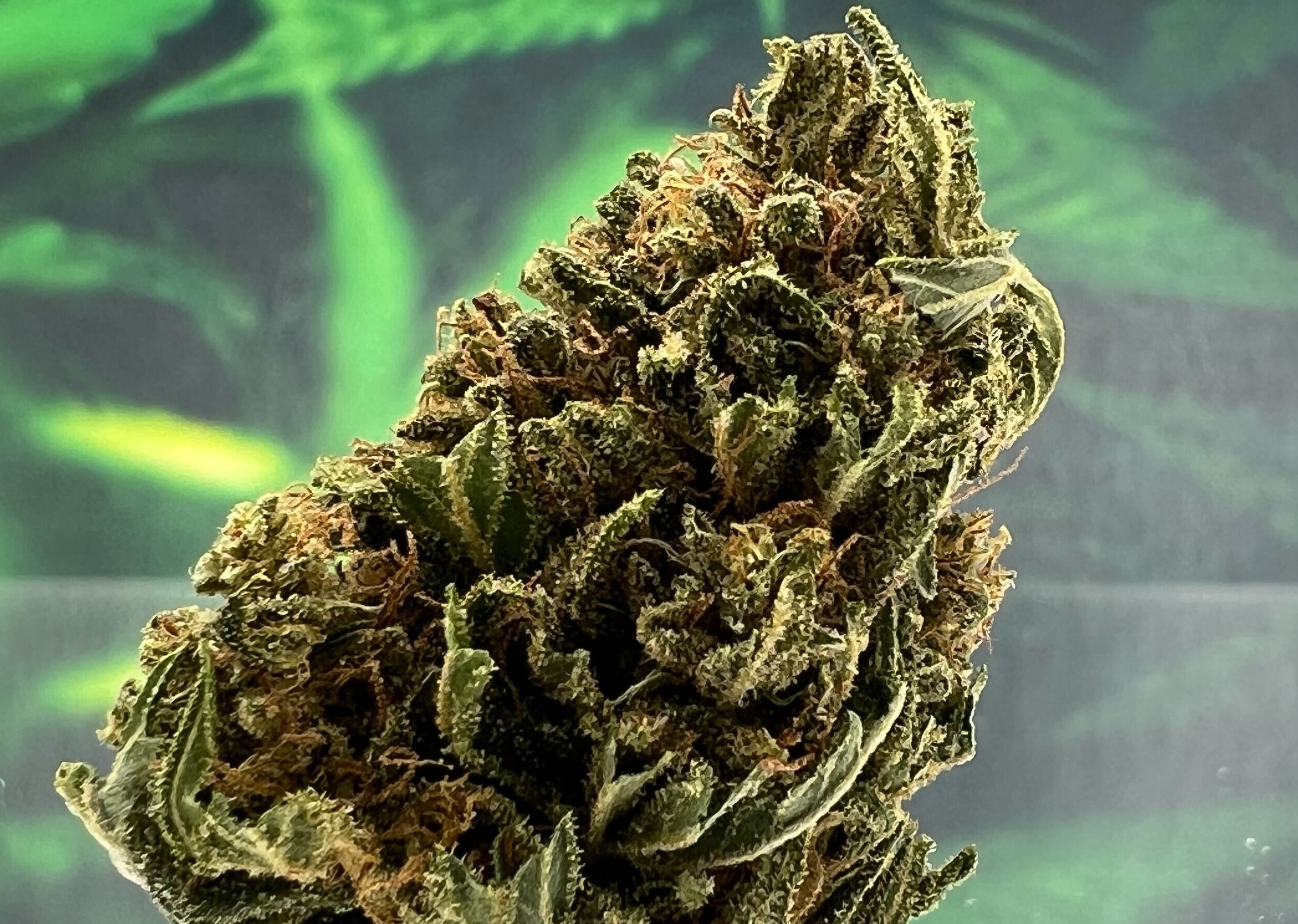 Photograph of product: CBD Flower | Tangerang - 28g