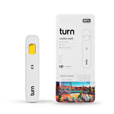 Photograph of product: [Turn Up] - BB - Disposable (1g) - Cactus Cool - 