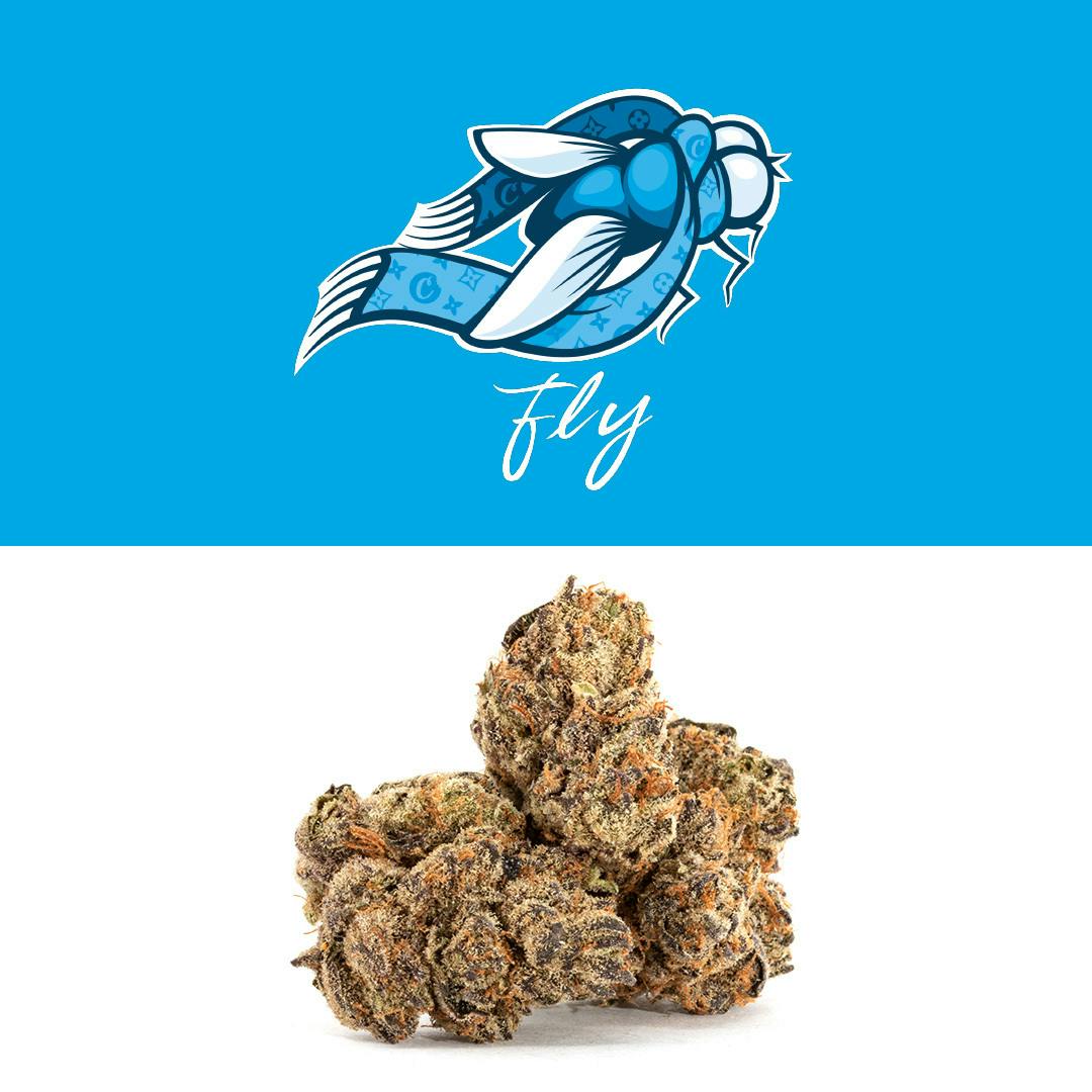 Photograph of product: Fly