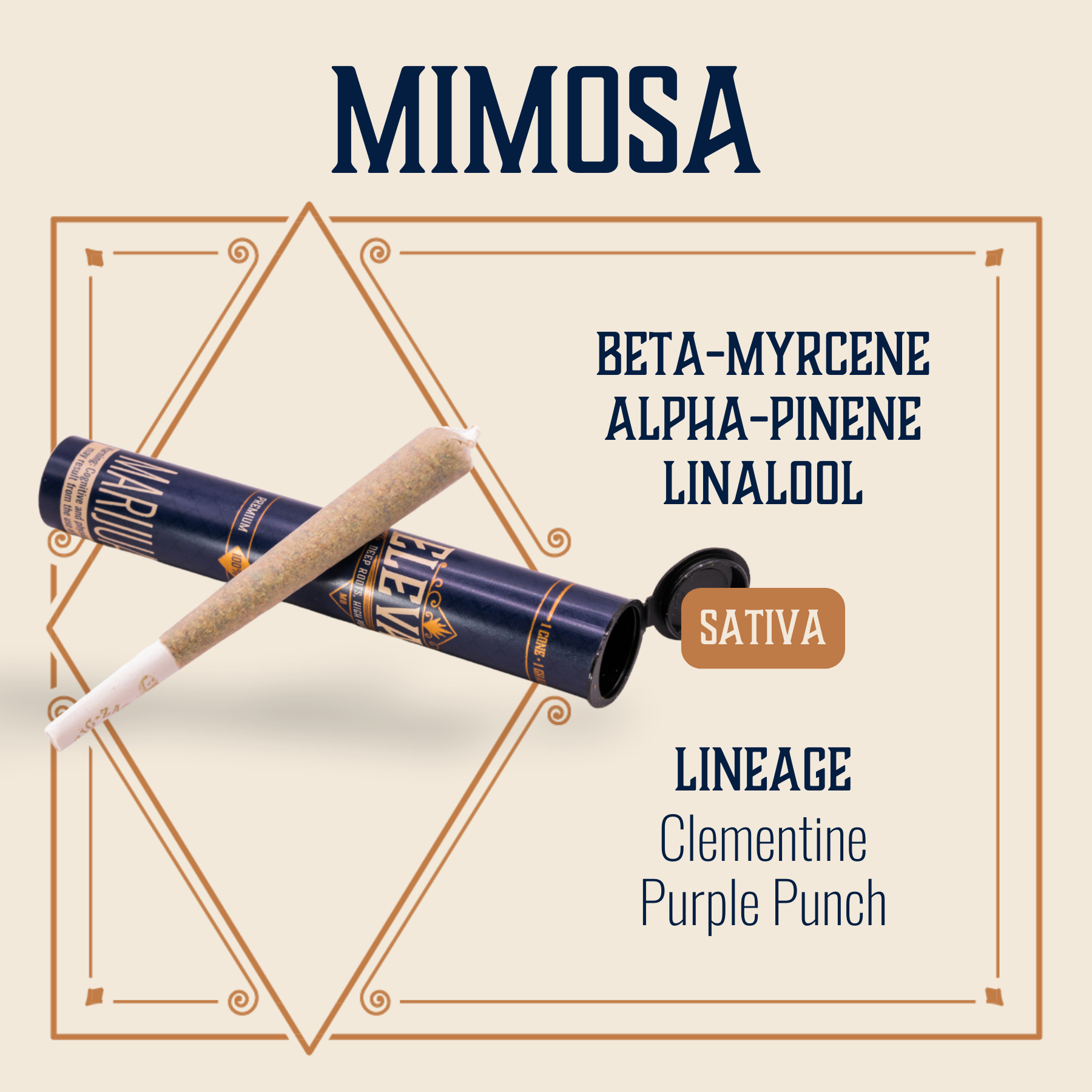 Photograph of product: Mimosa Preroll (1g)