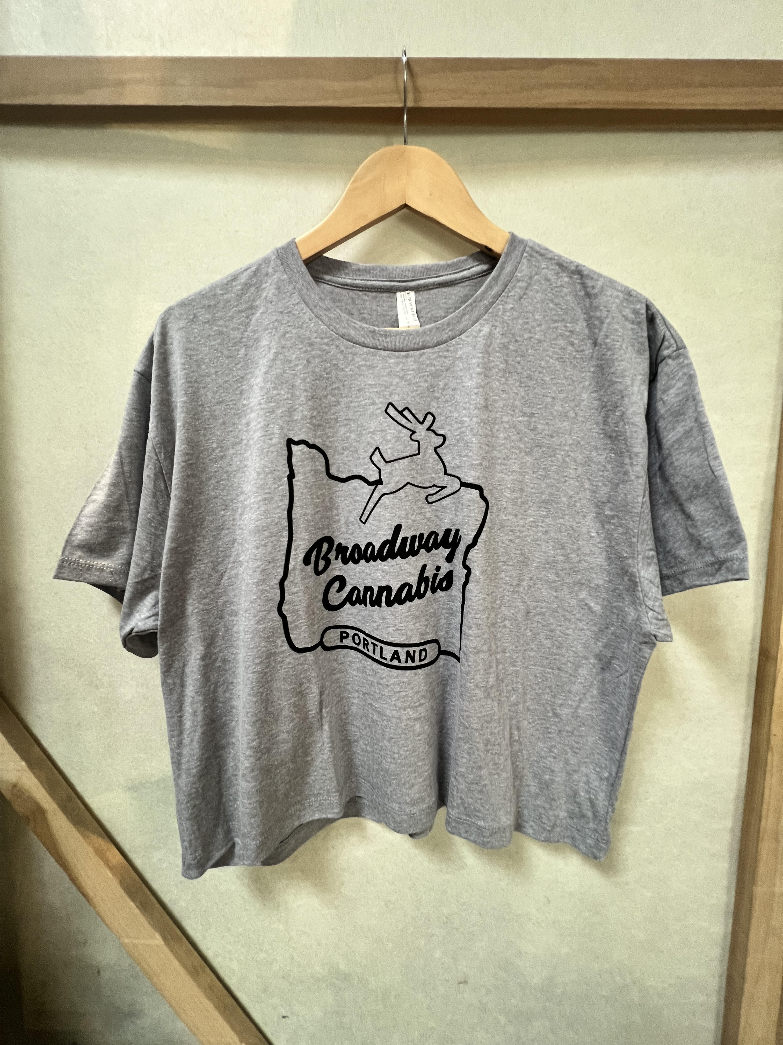 Photograph of product: Old Town Crop Top - Gray - Small