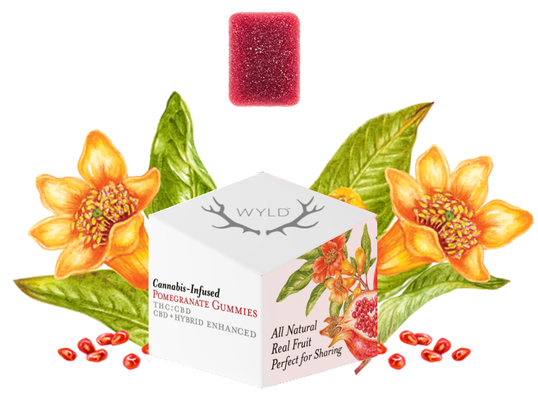 Photograph of product: WYLD 1:1 CBD Pomegranate 100mg