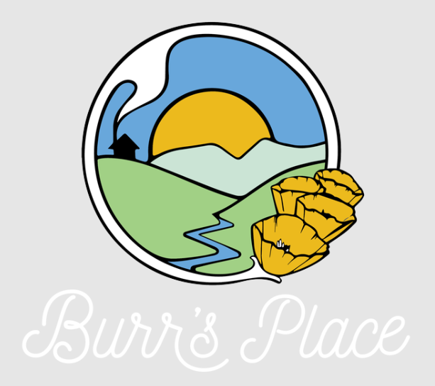 Photograph of product: Burrs Place | The Daily Driver | Oui'd | PreRoll 25 pack | 12.5G |