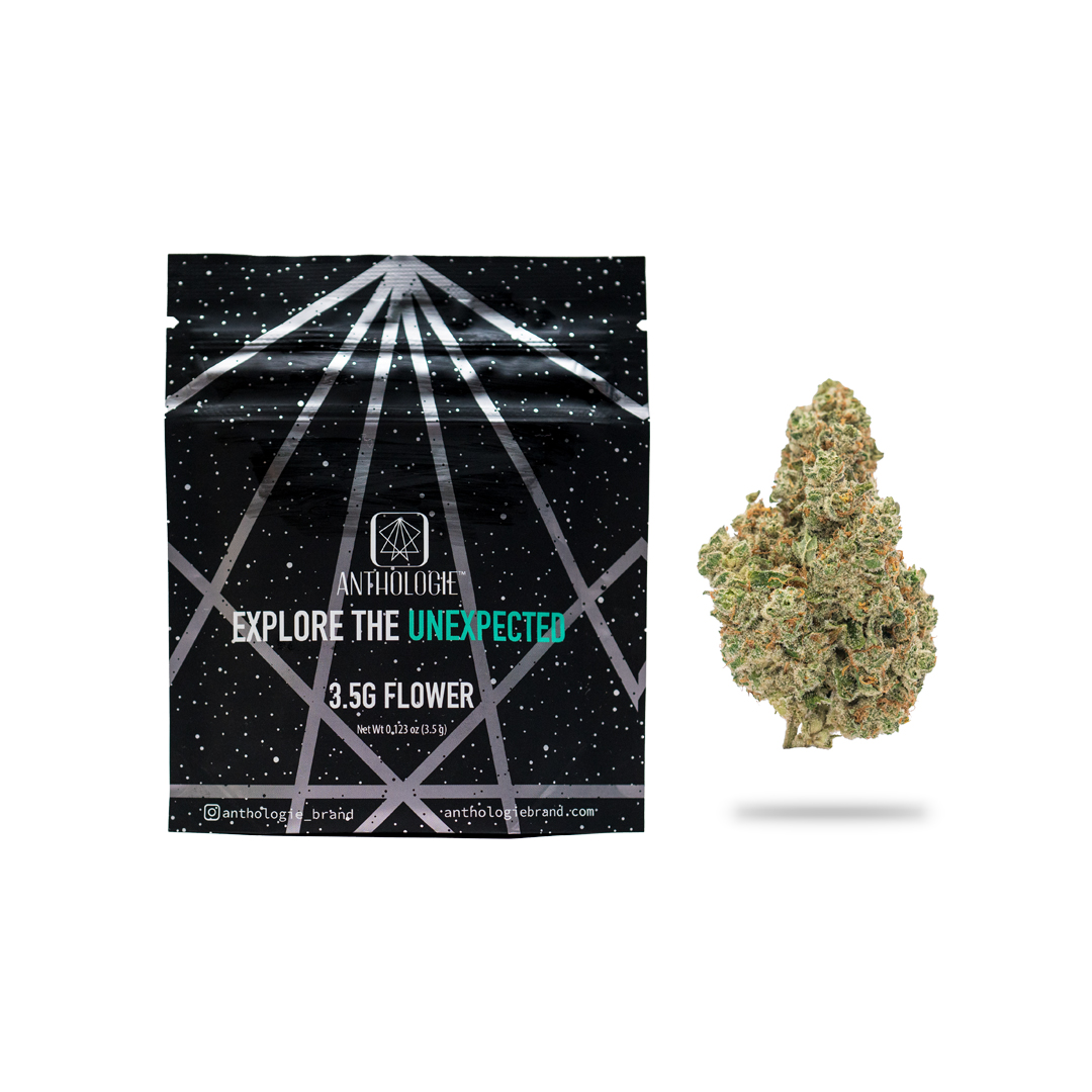 Photograph of product: Anthologie | Mac n' Jack (H) Flower | 3.5g