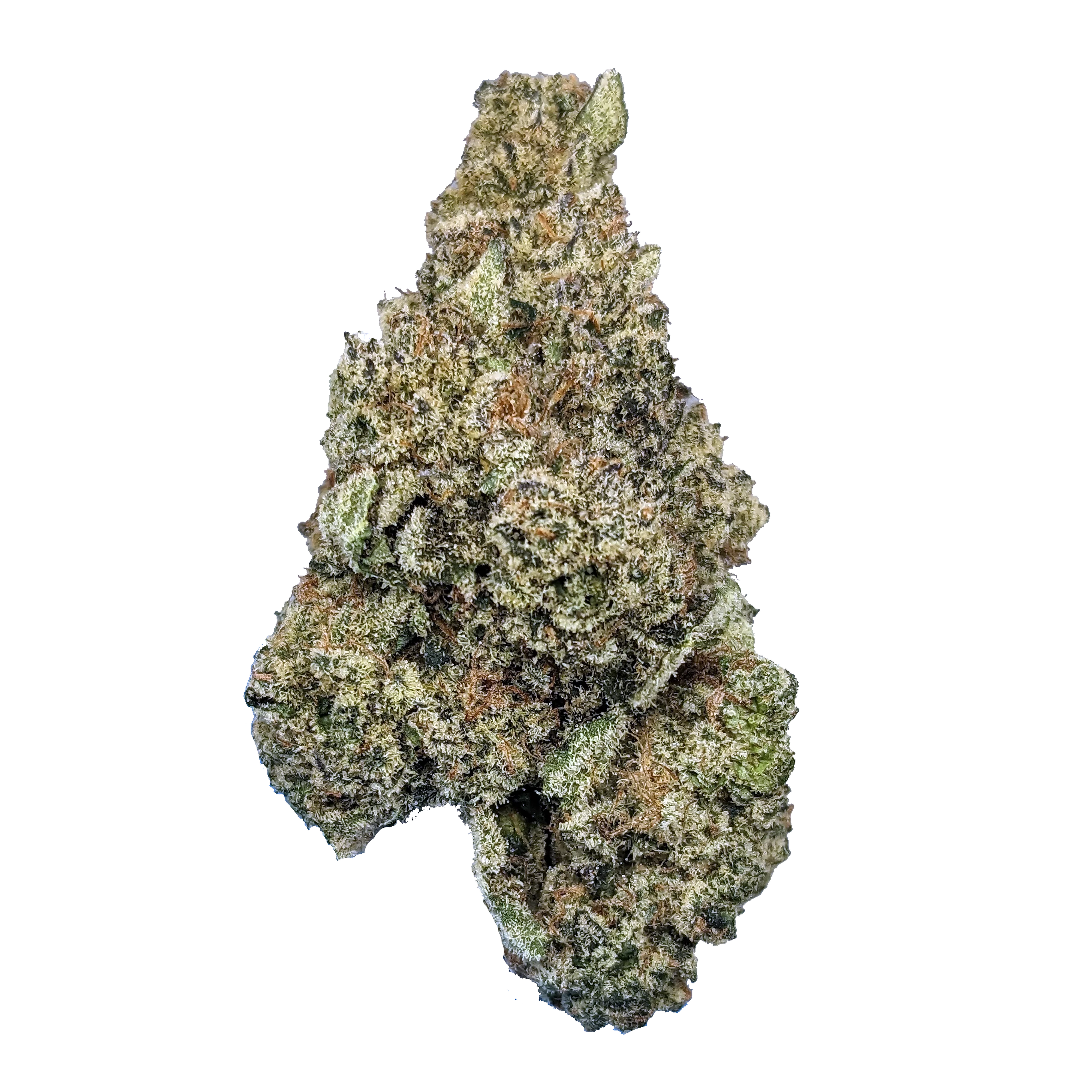 Photograph of product: Flower | Cake-N-Bake - 3.5g