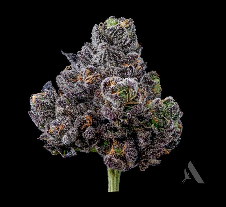 Photograph of product: Appz Bnnz Minis Flower T25.45 (9-00605) - 3.5g