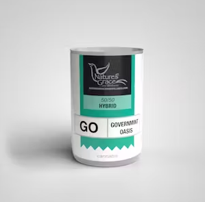 Photograph of product: Flower - Nature's Grace & Wellness - Governmint Oasis shake (H) - 7g