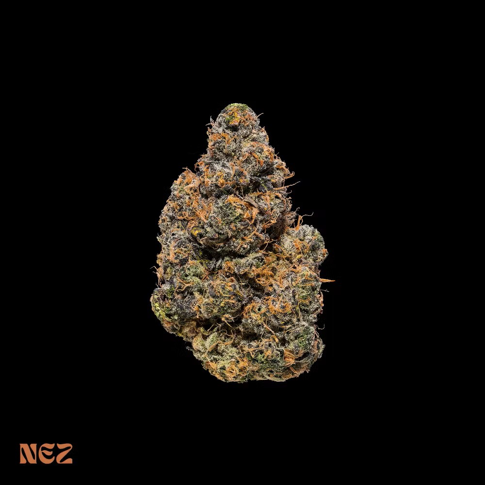Photograph of product: Flower | NEZ | Black Maple #22 - 3.5g