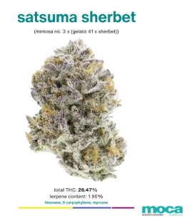 Photograph of product: SATSUMA SHERBET 7G
