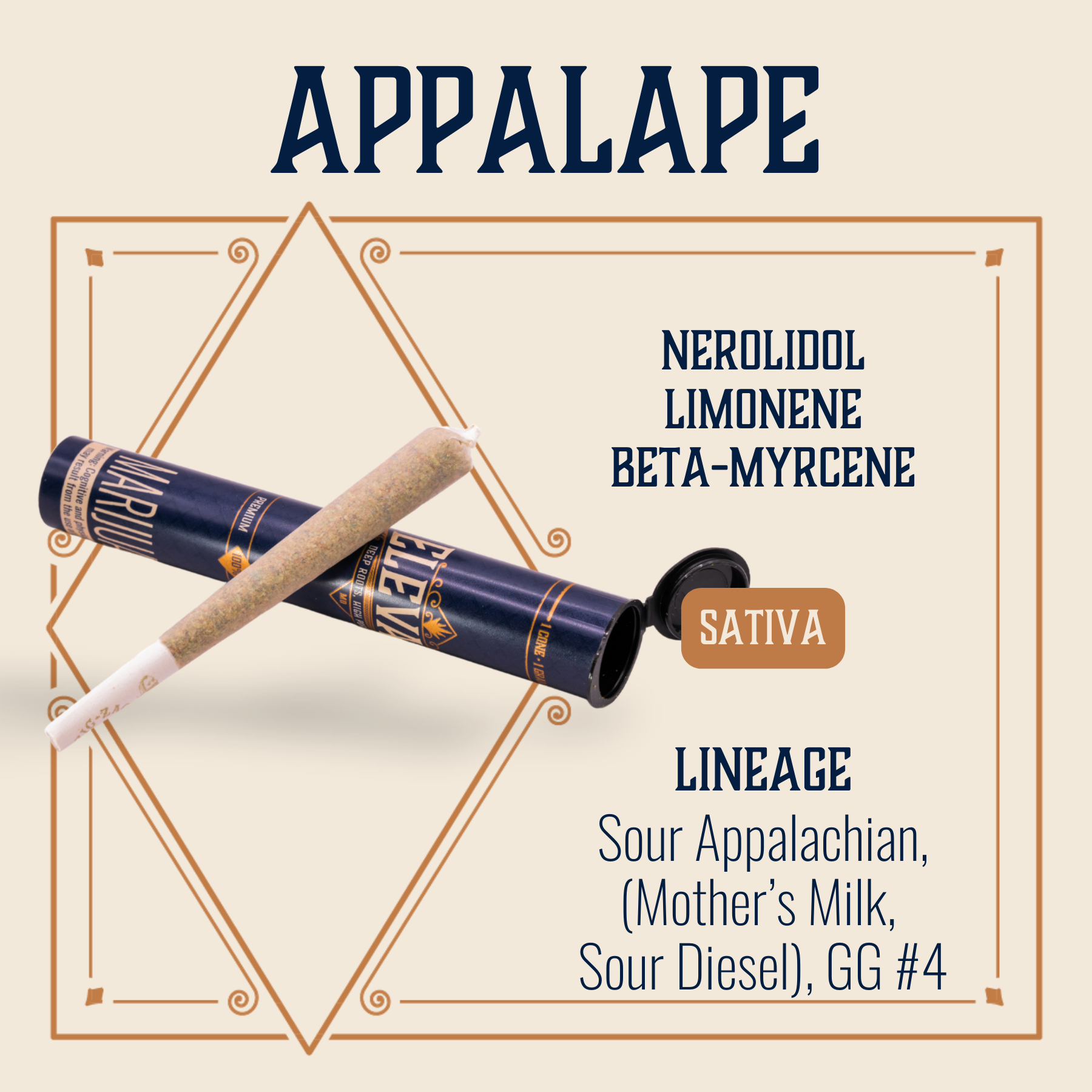 Photograph of product: AppalApe Pre-Roll | 1g