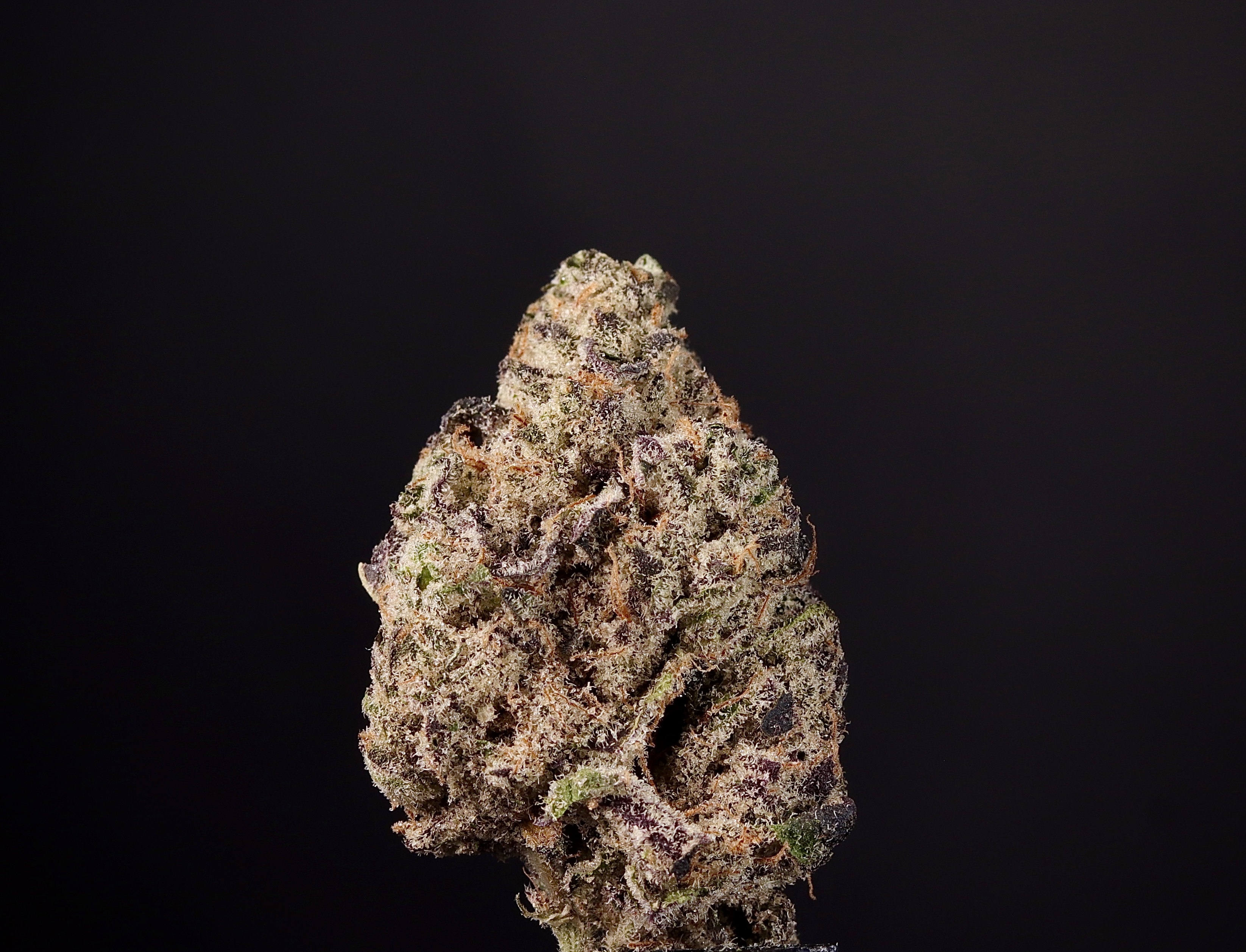 Photograph of Product: Wedding Pie - Landrace Cannabis Co. - 7g