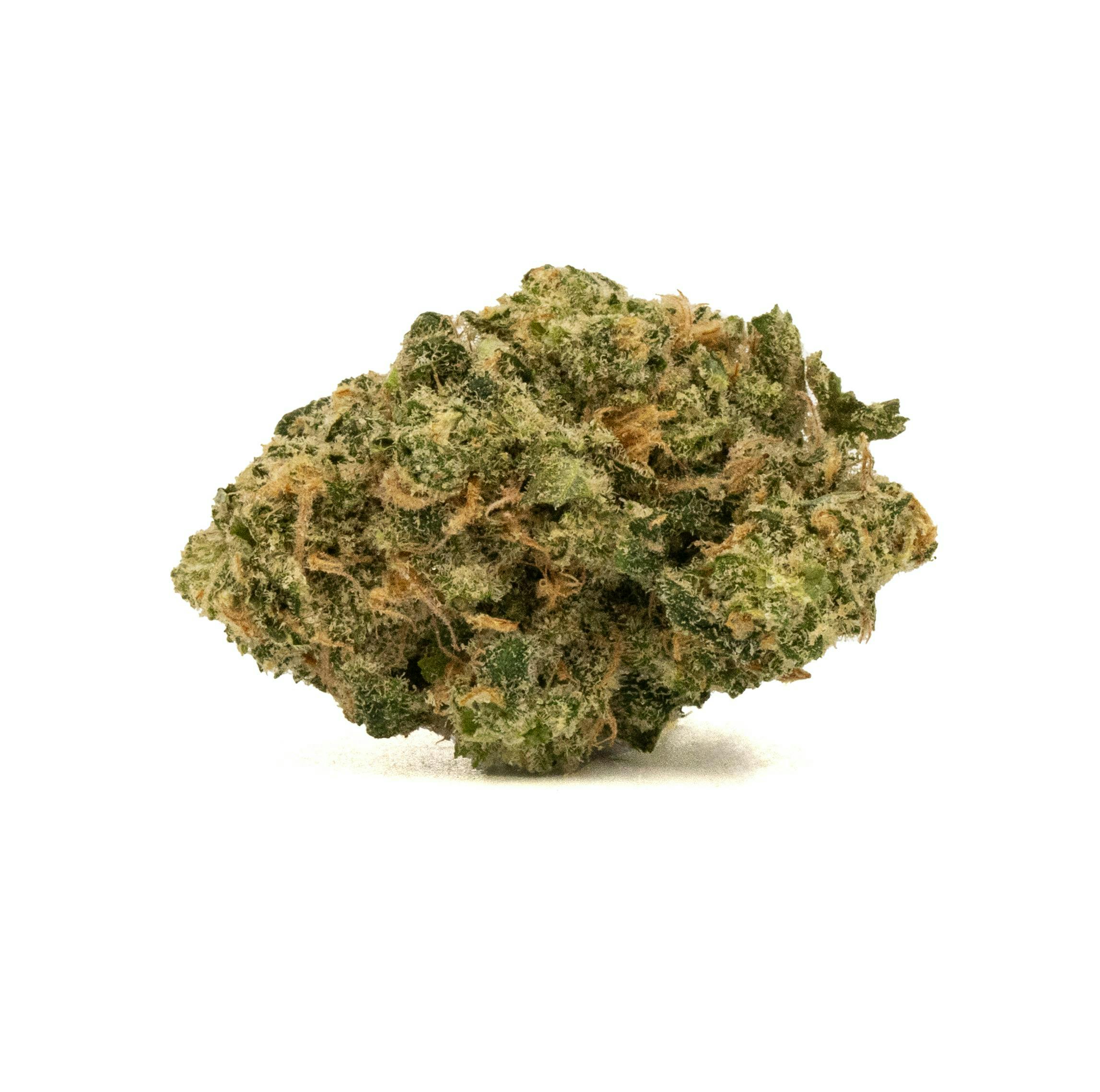 Photograph of product: BLUE au chocolat PLANT [3.5G]