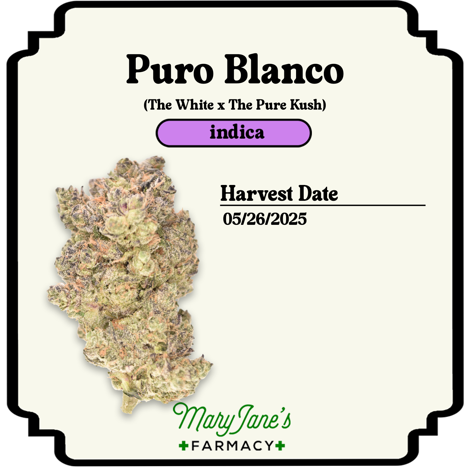 Photograph of product: Puro Blanco Pre-roll | .5g
