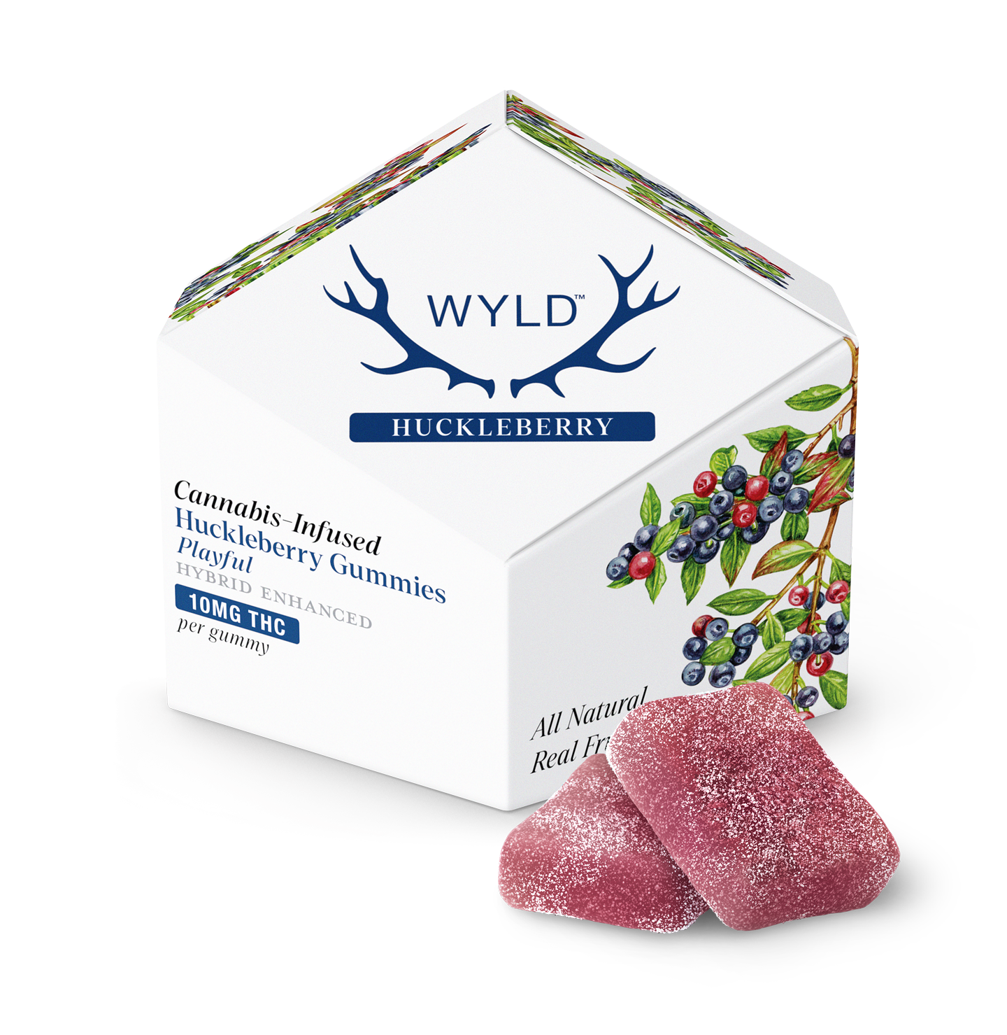 Photograph of product: 10PK - PLAYFUL - HUCKLEBERRY - HYBRID