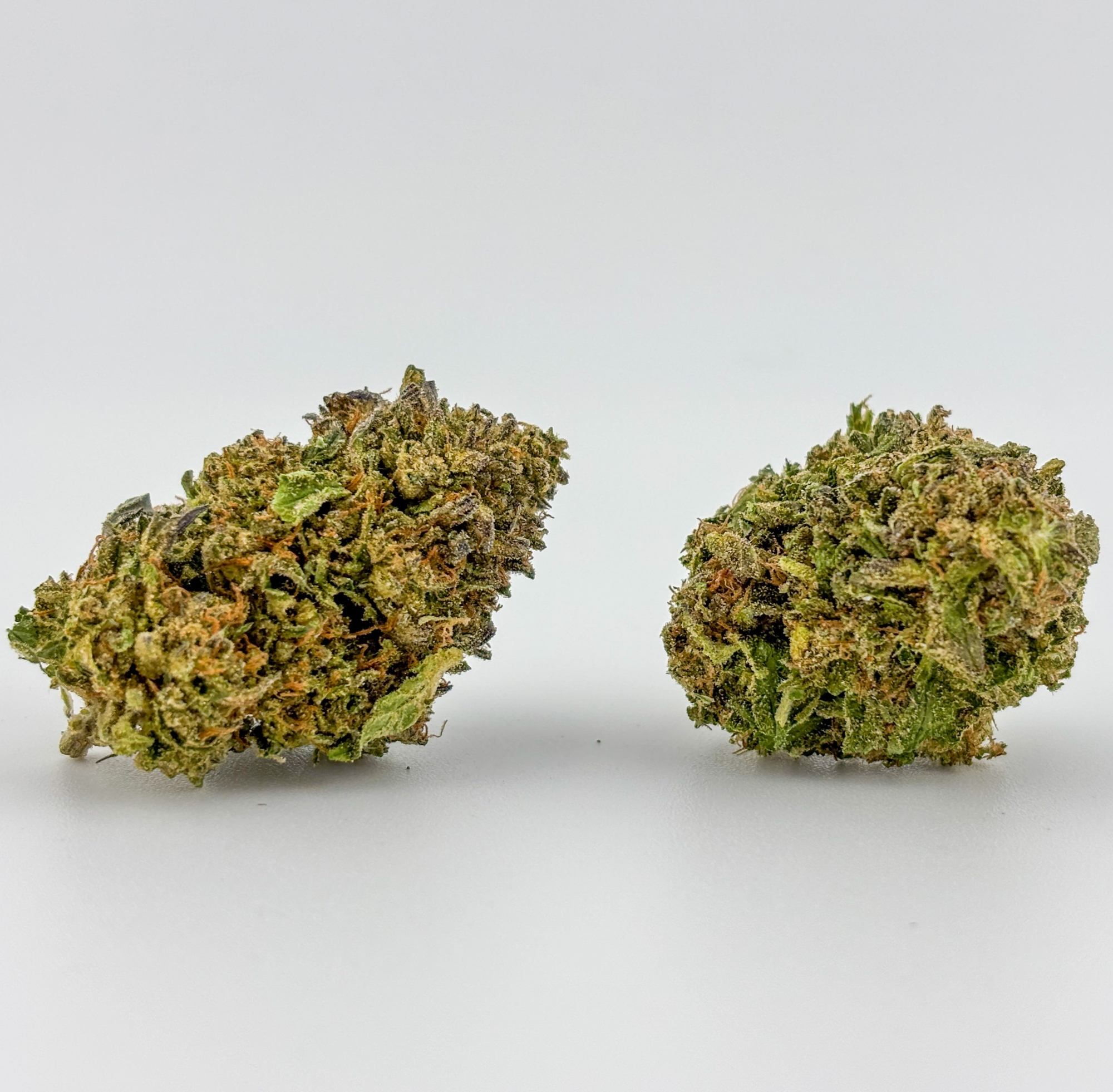 Photograph of product: Alta Gardens | Flower [I] | Illuminati OG