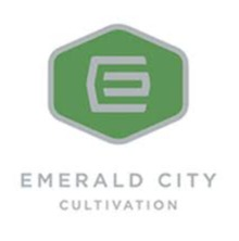 Photograph of product: ECC D4L Super Glue