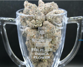 Photograph of product: Garlic Reaper - 1g