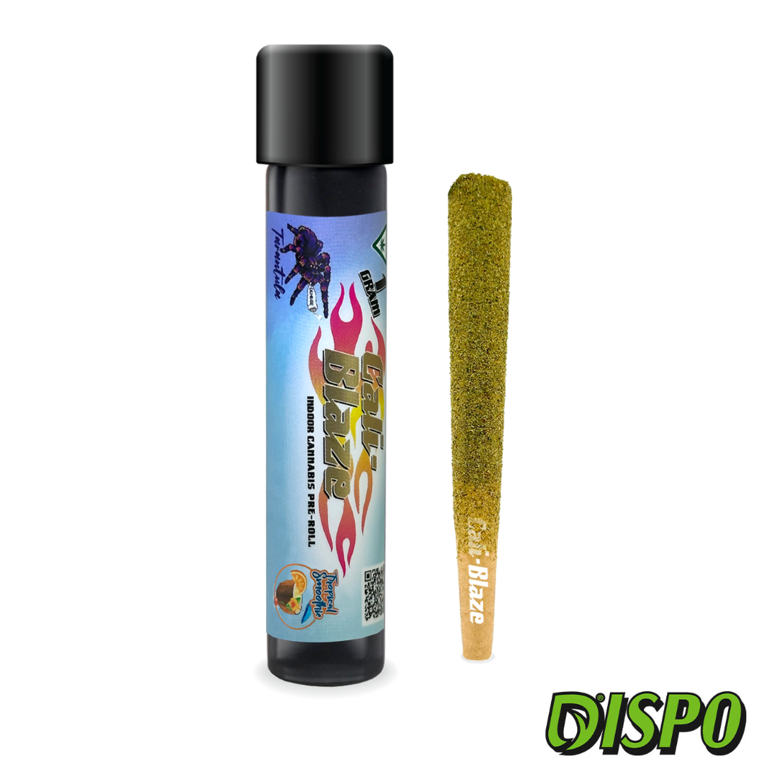 Photograph of product: Cali Blaze - Tropical Smoothie 1G Infused Tarantula