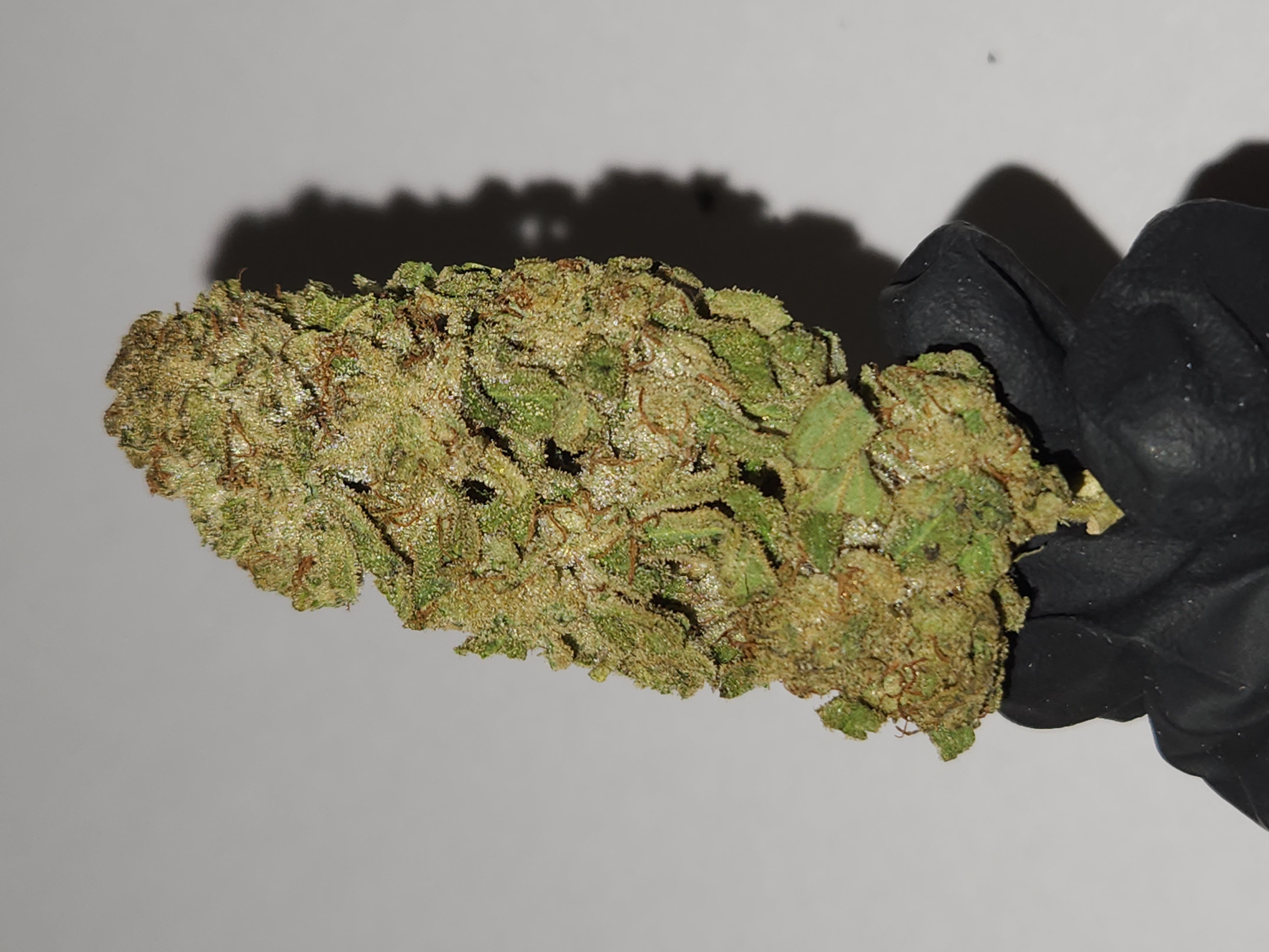 Photograph of product: 9 Pound Hammer Bulk Flower - 1g