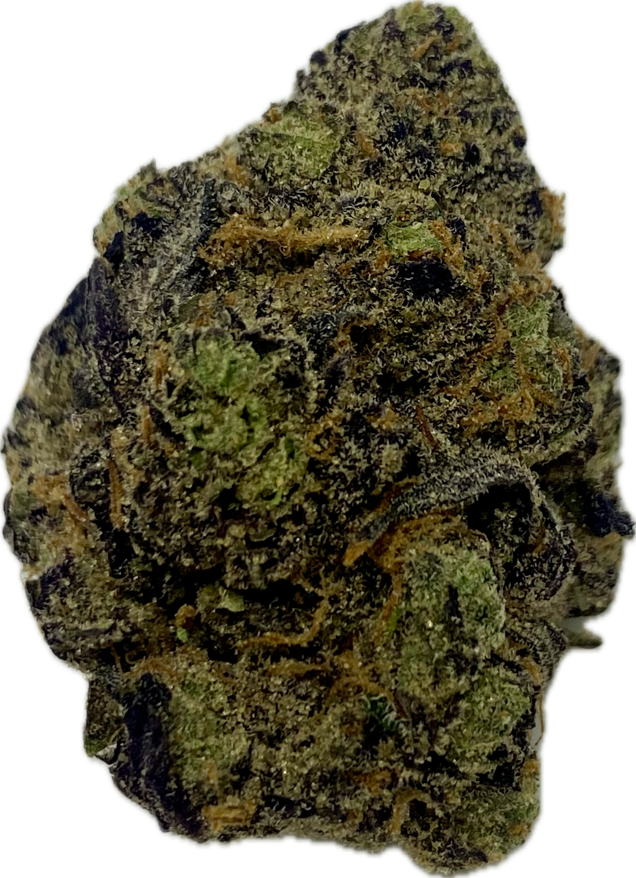 Photograph of product: Elysium - Gastro Pop - Bulk Flower - 1g