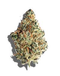 Photograph of product: Willie's Reserve | Burger Kush | Bulk Flower - 28g