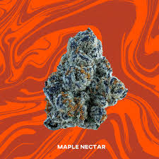 Photograph of product: Maple Nectar | 3.5g