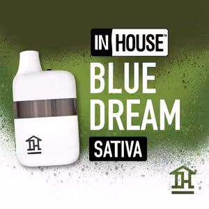 Photograph of product: In House | Blue Dream | 2g Disposable Vape