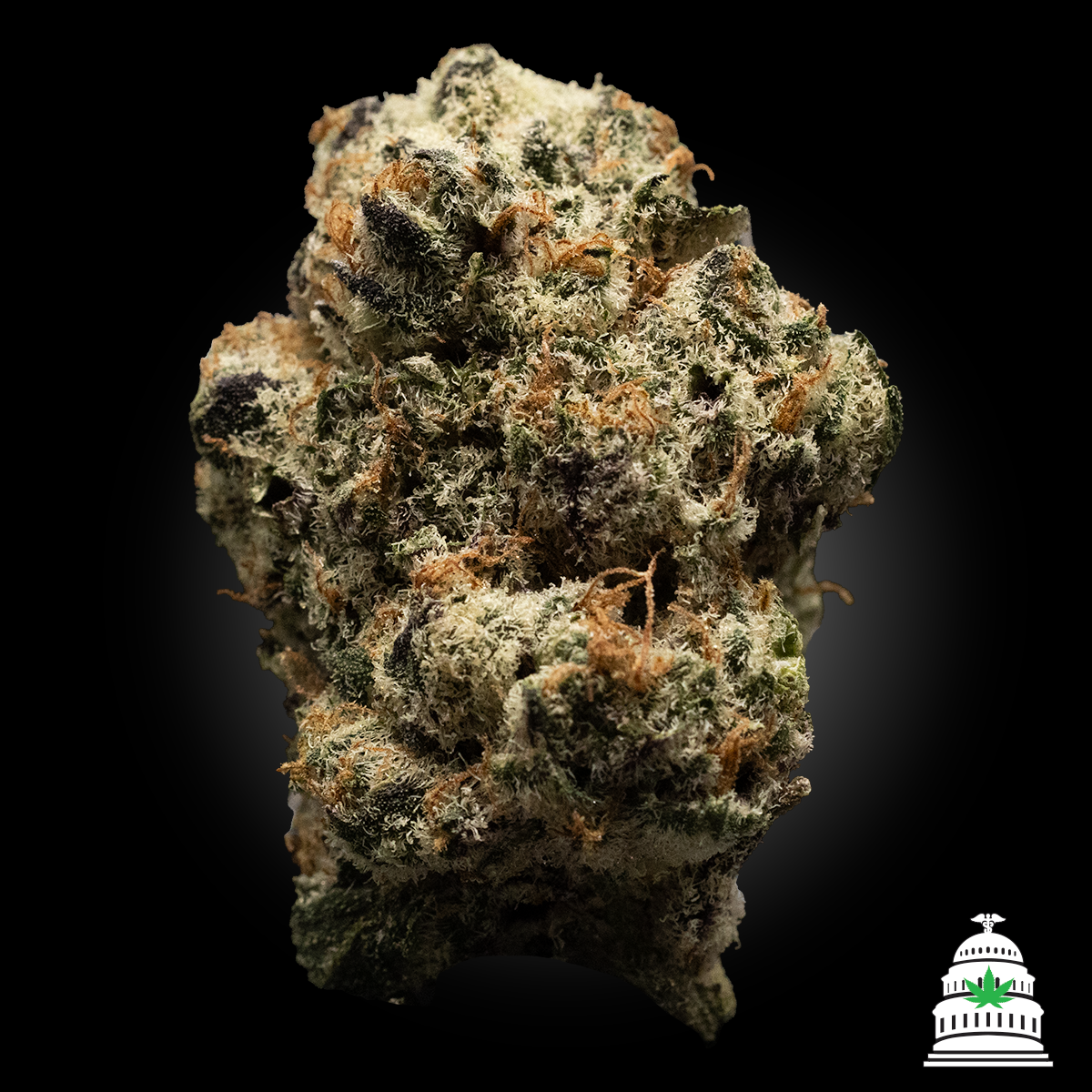 Photograph of product: Governmint Oasis - Bono Ape Flower - 3.5g