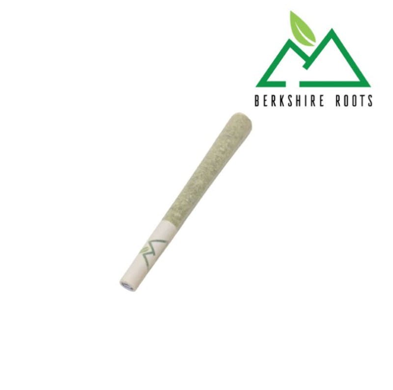 Photograph of product: Orange Chemeleon (S) 1g Pre-Roll- Berkshire Roots