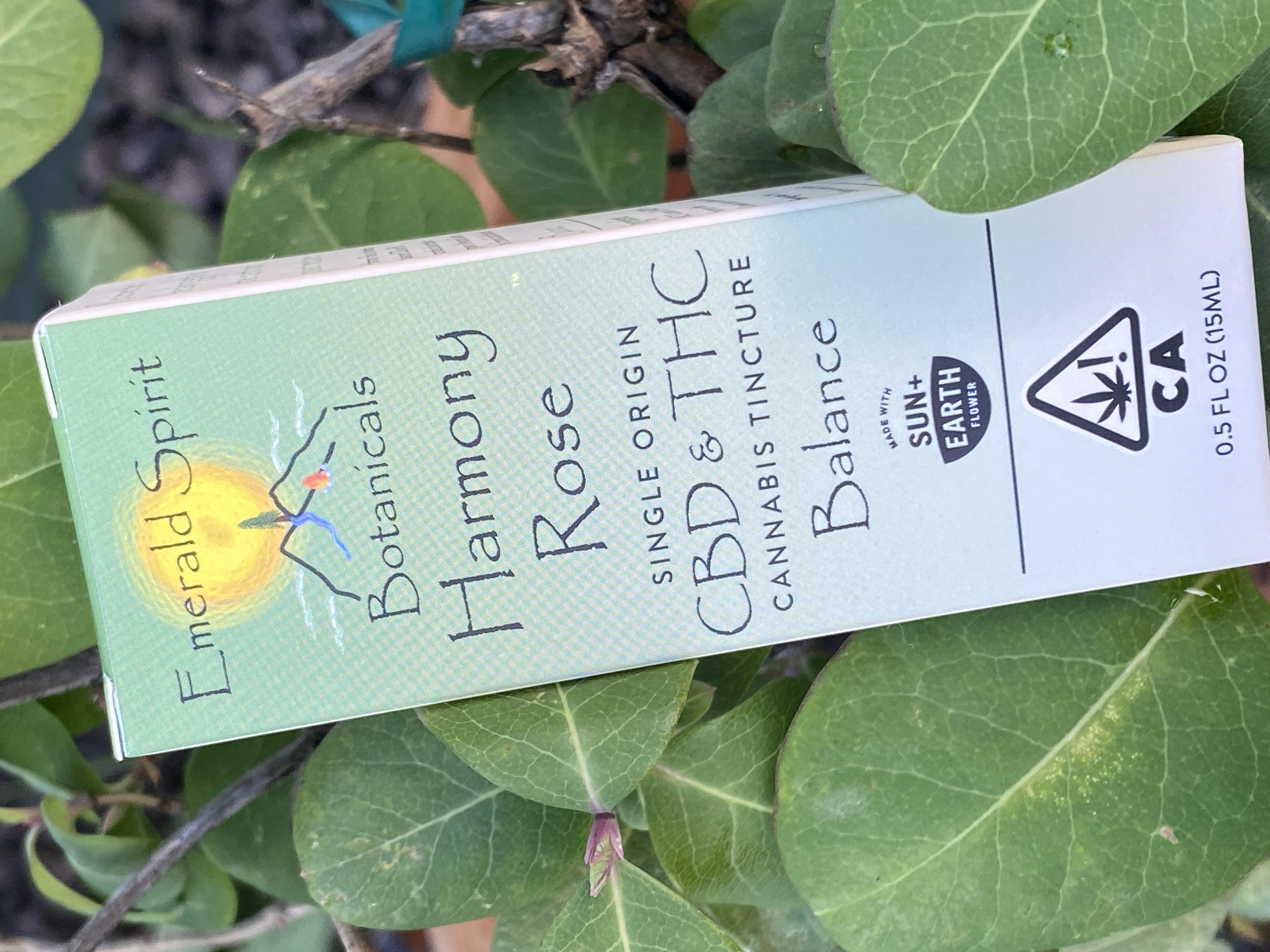 Photograph of product: HARMONY ROSE