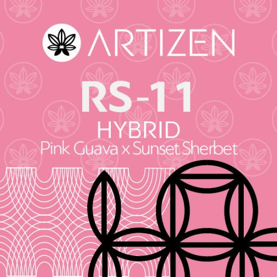 Photograph of product: Artizen - RS-11 - 3.5g