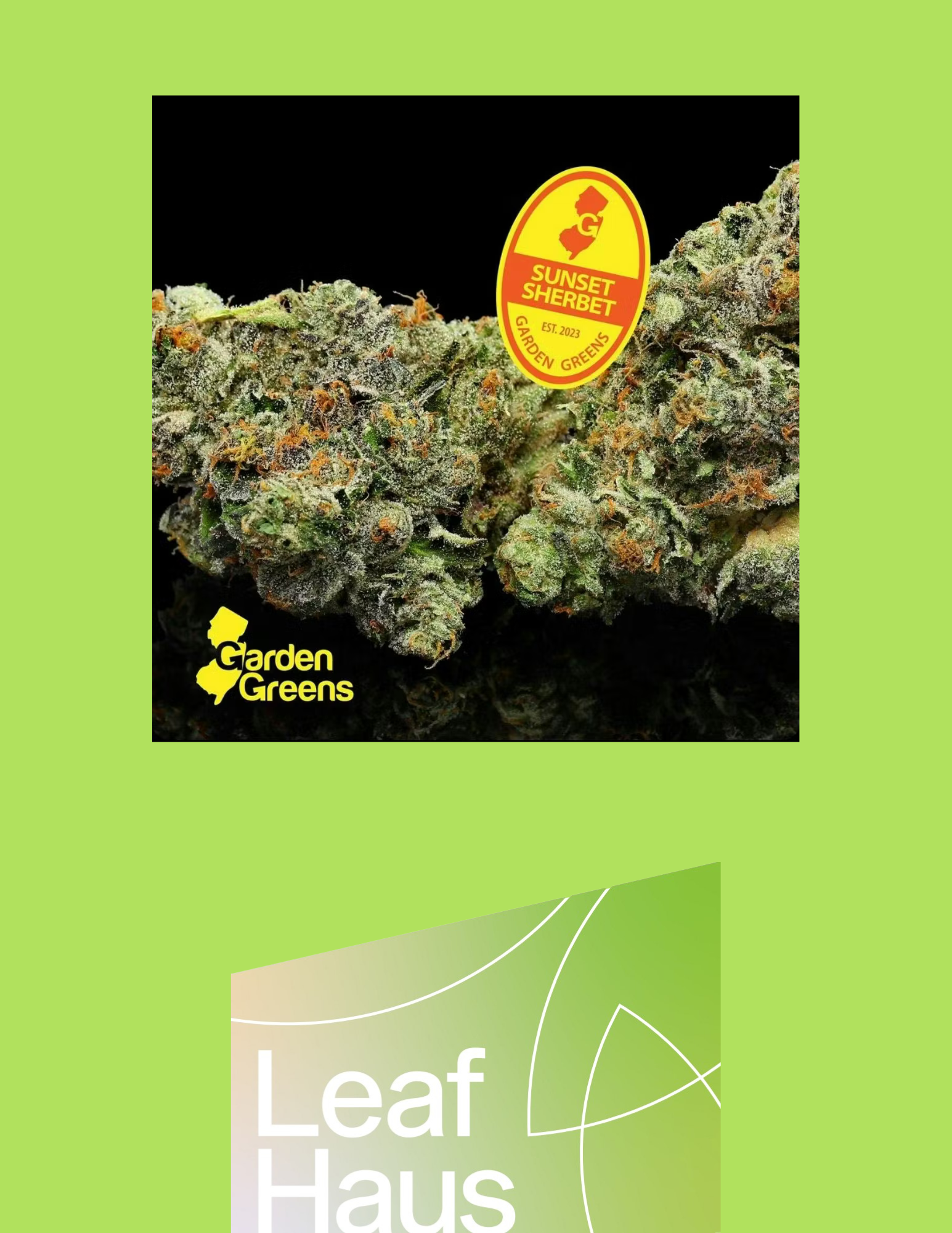 Photograph of product: Garden Greens - Sunset Sherbert Full Buds 3.5g