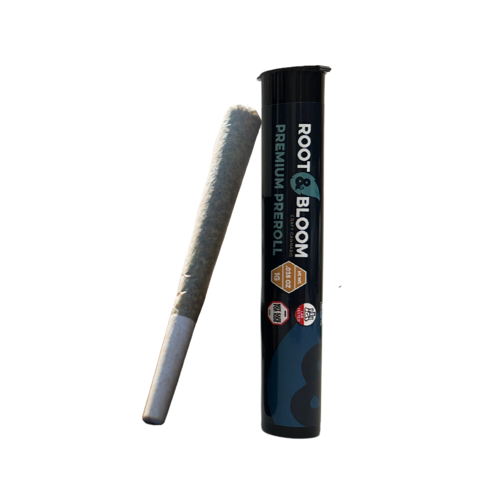 Photograph of product: Gelato Punch | 1g preroll | Oui'd |