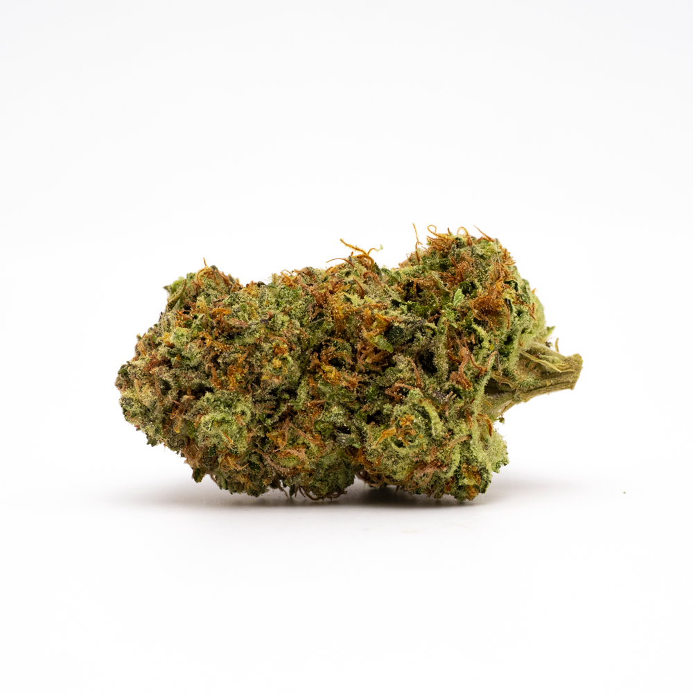 Photograph of product: GDF: Flower | Watermelon Gushers |  14g (Value)